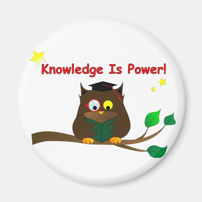 Reading Wise Owl Magnet (Front)