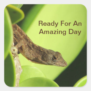 Ready For An Amazing Day Cute Reptile Brown Gecko Square Sticker