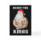 Ready for christmas muscle Santa Claus