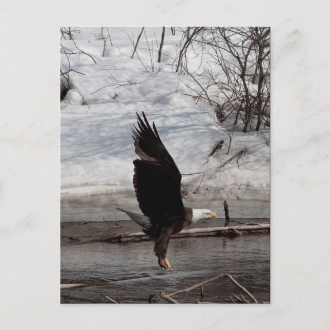 Ready for Liftoff Postcard (Front)