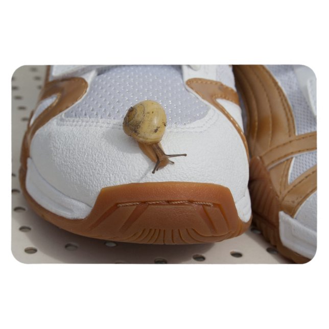 Ready For Snail Racing Magnet (Horizontal)