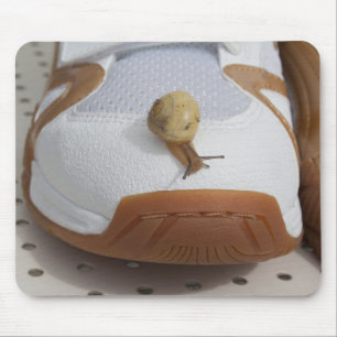 Ready For Snail Racing Mouse Mat