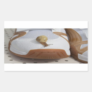 Ready For Snail Racing Rectangular Sticker
