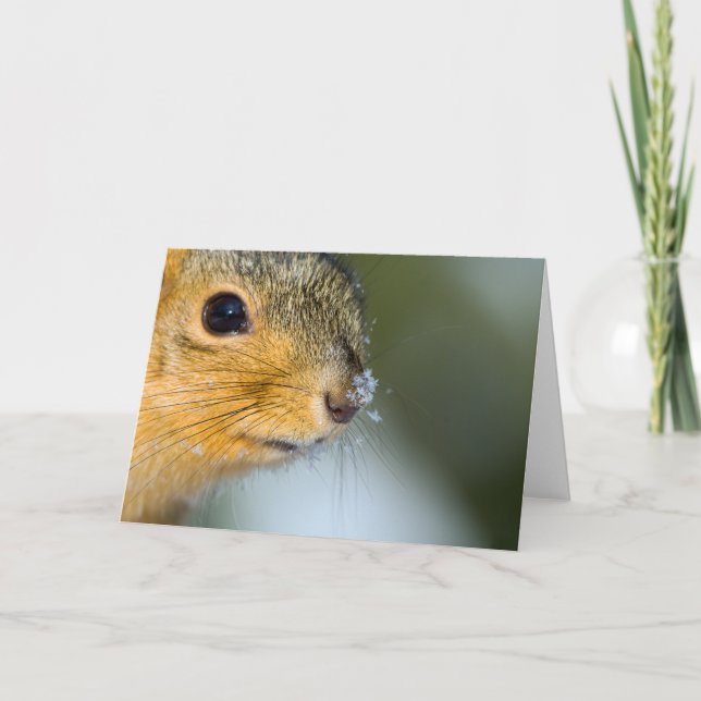 Ready for Spring Card (Front)