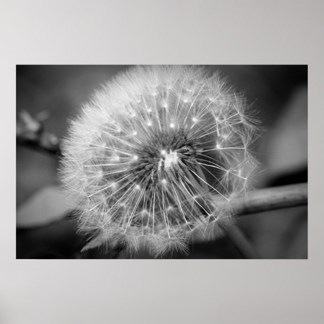 Ready for Take Off!!! Poster (Front)