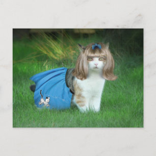 Ready for the Sock Hop! Postcard