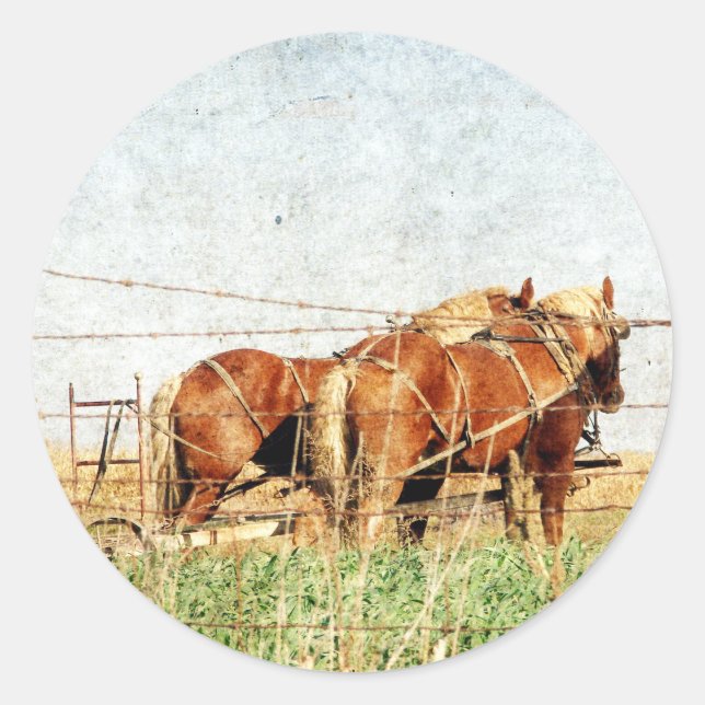 Ready For Work, Two Draught Horses Classic Round Sticker (Front)