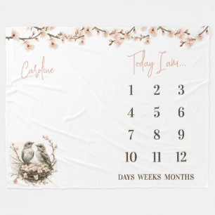 Ready to Hatch! Cute Birds Baby Milestone Fleece Blanket