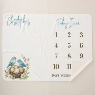 Ready to Hatch! Cute Birds Baby Milestone Sherpa Blanket