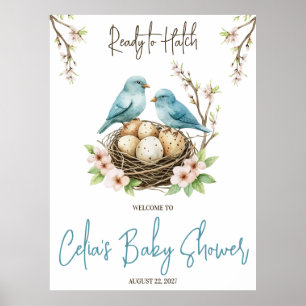 Ready to Hatch! Cute Birds Baby Shower Welcome Poster