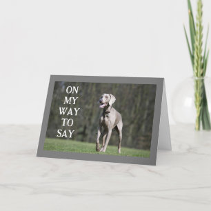 READY TO HEAR THAT U HAD A VERY HAPPY BIRTHDAY CARD