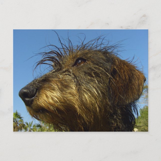 Ready to hunt postcard (Front)