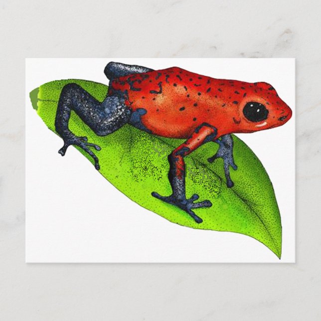 READY TO JUMP POSTCARD (Front)