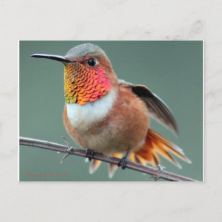 Ready to Launch Postcard