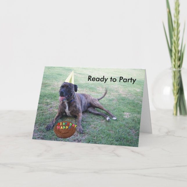 Ready to Party with Birthday Dog and Brownie Cake Card (Front)