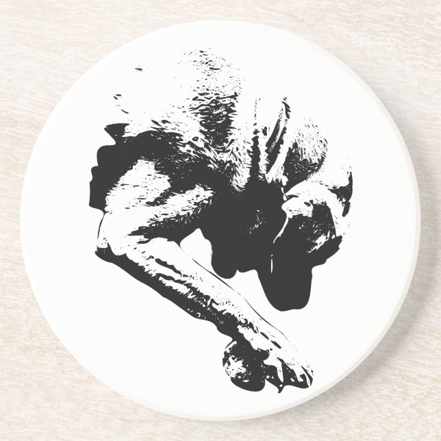 Ready to Play Coaster (Front)