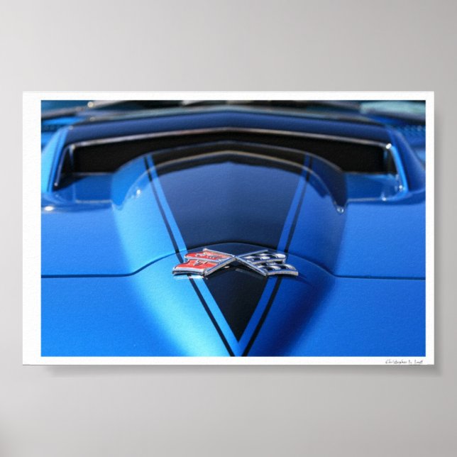 Ready to Rumble Poster (Front)