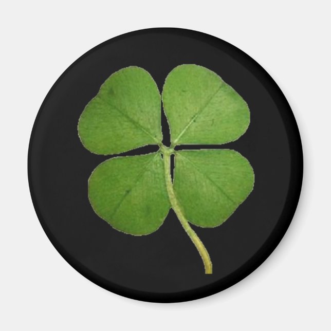 Real 4 Leaf Clover Shamrock Black Magnet (Front)