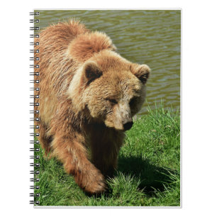 Real Bear Gifts,Grizzly Bear,Grizzly Bear Journal 
