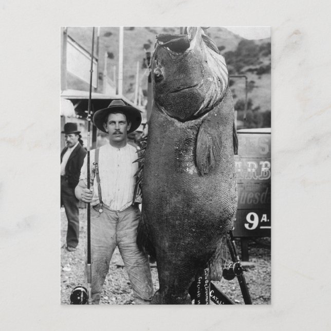 Real Big Fish, early 1900s Postcard (Front)