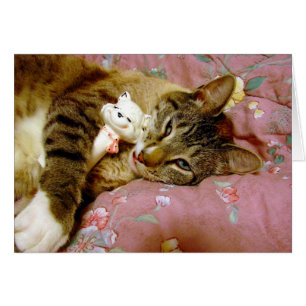 Real Cat, Fake Cat