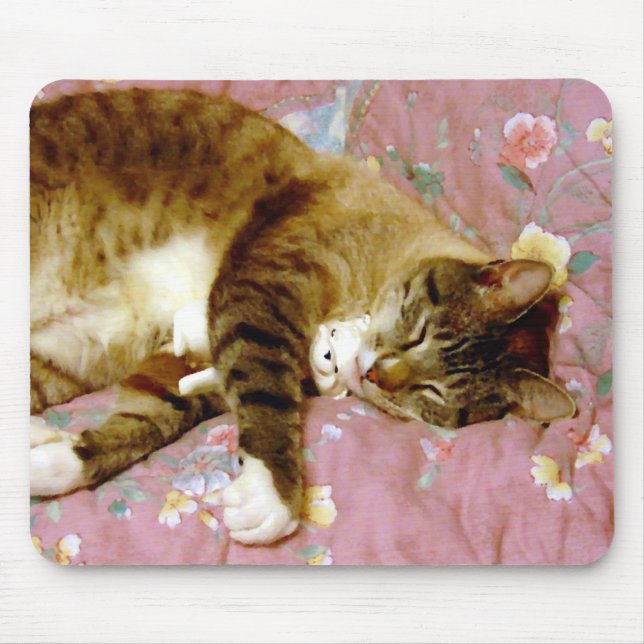 Real Cat, Fake Cat 2 Mouse Mat (Front)