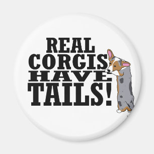 Real Corgis Have Tails Magnet