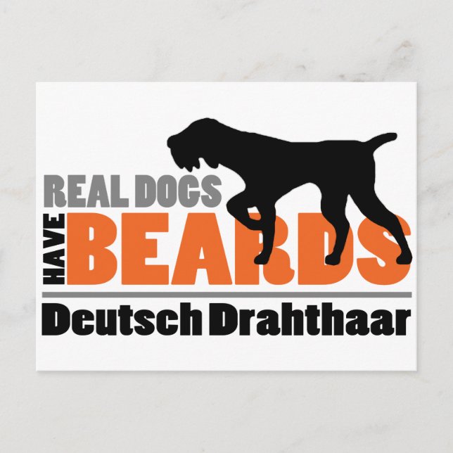 Real Dogs Have Beards - Deutsch Drahthaar Postcard (Front)