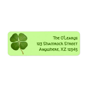 Real Four Leaf Clover