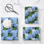 Real Hydrangea Flowers Wrapping Paper Sheet<br><div class="desc">Blue floral wrapping paper sheets.  Each sheet has a pattern of realistic,  light blue hydrangea flowers,  with green leaves.  The background colours are light blue,  dark green and pale blue.</div>