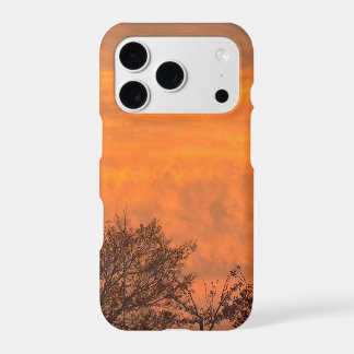 Real Las Vegas Fiery Orange Sunset