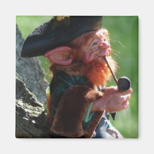 real leprechaun magnet (Front)