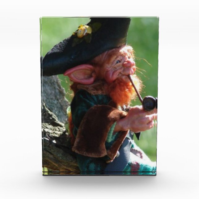 real leprechaun photo block (Front)
