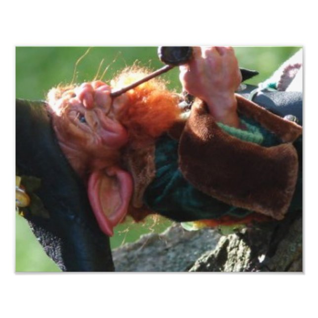 real leprechaun photo print (Front)