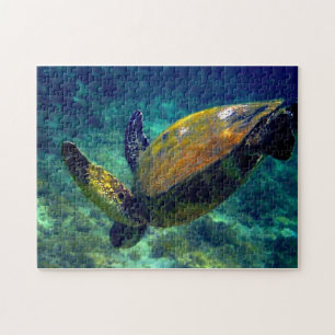 Real living sea turtles jigsaw puzzle