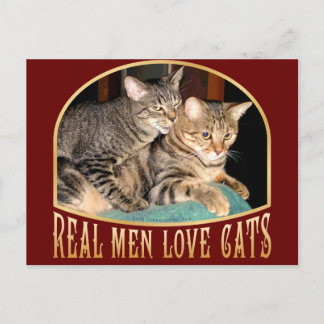 Real Men Love Cats Postcard