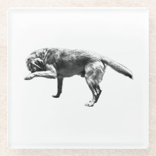 Real Moments Glass Coaster