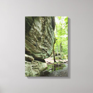 Real Nature Canvas Print | Misty Forest Home Decor
