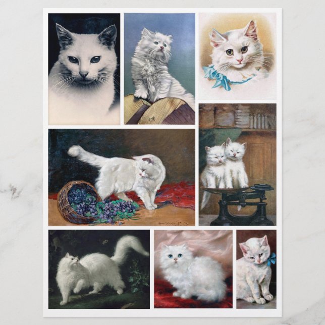 Real (not AI) White Cat Images from Victorian Era (Front)