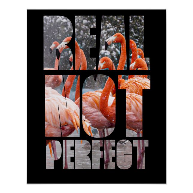 Real Not Perfect Quote Flamingo Tropical Birds Pos Poster (Front)