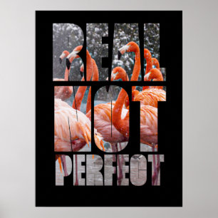 Real Not Perfect Quote Flamingo Tropical Birds Poster