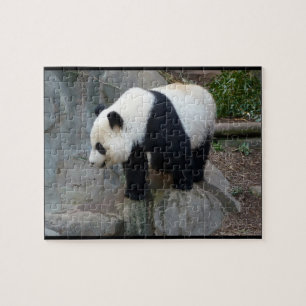Real Photo Panda Bear Jigsaw Puzzle