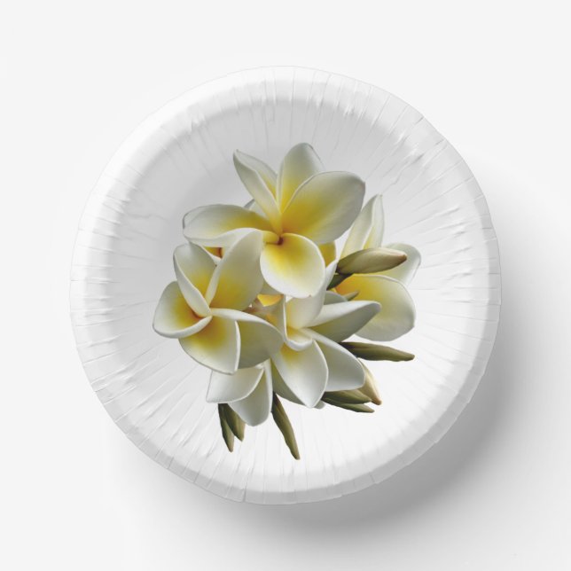 Real Plumeria Frangipani Flowers Paper Plate (Front)