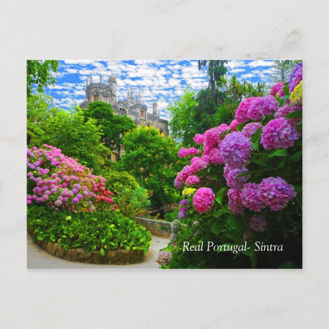 Real Portugal- Sintra Postcard (Front)