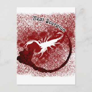 Real Scorpion Postcard