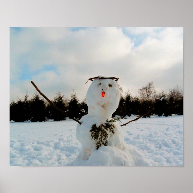 Real snowman photo   poster (Front)