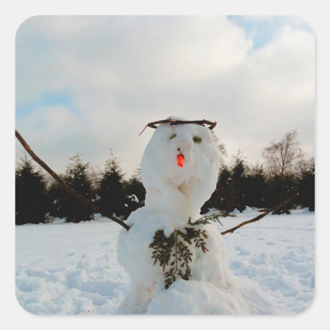 Real snowman photo  square sticker (Front)