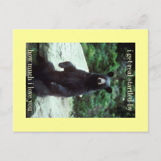 real startled postcard