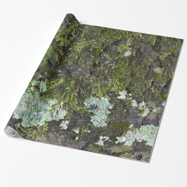 Real Tree Photography Camo Wrapping Paper (Unrolled)