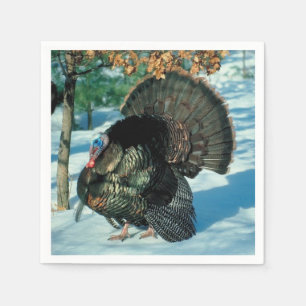 Real Turkey Christmas Thanksgiving Winter Xmas Napkin
